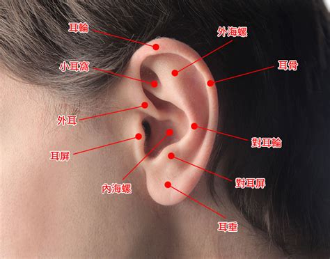耳廓耳洞